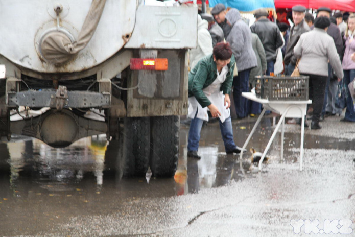 Эх, хвост, чешуя (+фото)